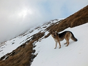 CIMA DI LEMMA (2348 m.) con giro ad anello dal Passo di Tartano al Passo di Lemma il 25 novembre 2012  - FOTOGALLERY